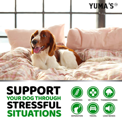 Hemp Calming Chews for Dogs 170 Count Anxiety Relief Beef Flavor