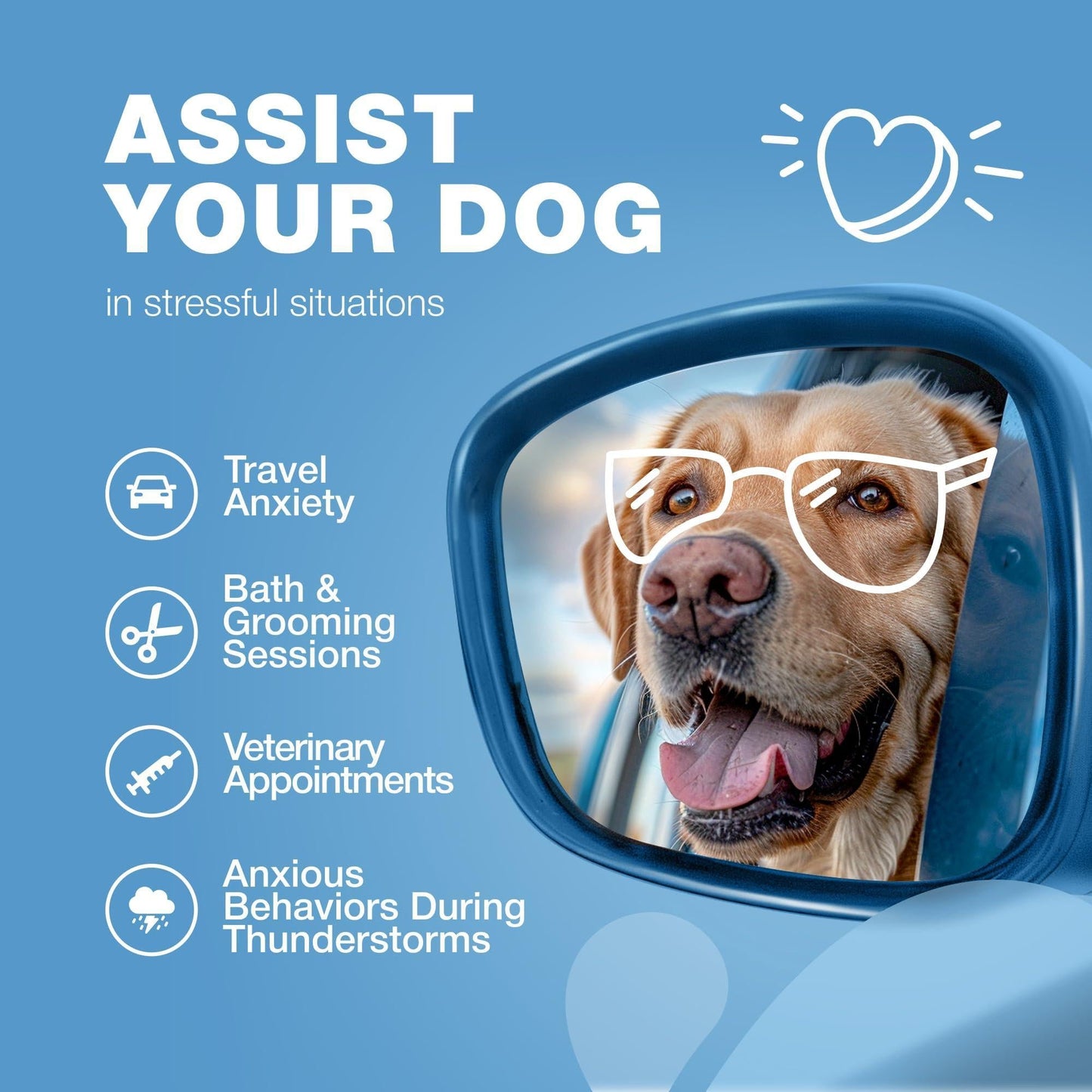 Calming Chews for Dogs Anxiety Relief Melatonin & Valerian Root