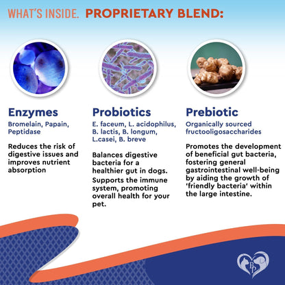 Probiotics & Prebiotics for Dogs & Cats Digestive Enzymes Gut Health